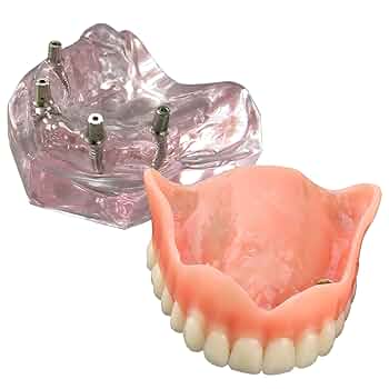 denture 様　NEIGHBORHOOD Premium Silicone Denture, Smileasego Premium Dentures Full